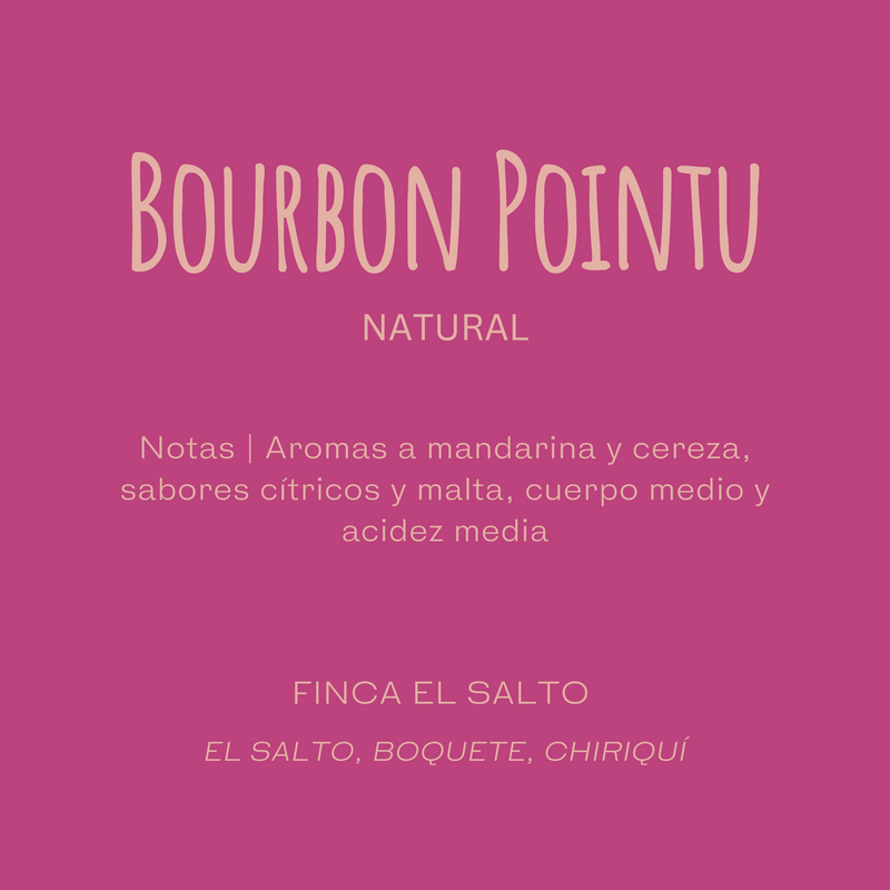 Bourbon Pointu