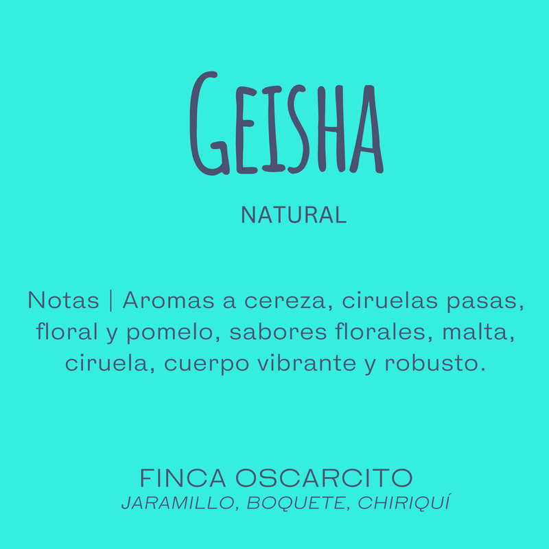 Geisha - Finca Oscarcito